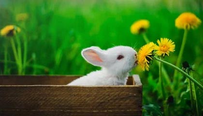 世界杯客户端更新-主场告别战破门！阿尔马达突破造点，梅西让点奥塔门迪主罚命中